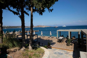 Splendid Apartment near Beach in Bodrum